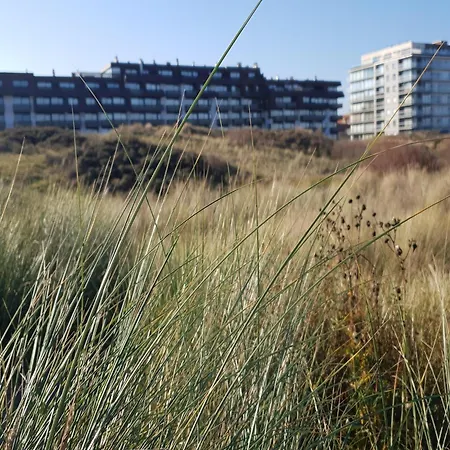 East App 0202 With Prime Location Apartment Oostduinkerke